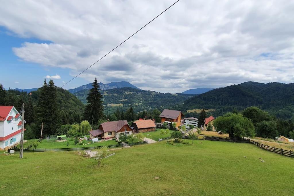 Chalet Dor De Munte Predeal Exterior foto